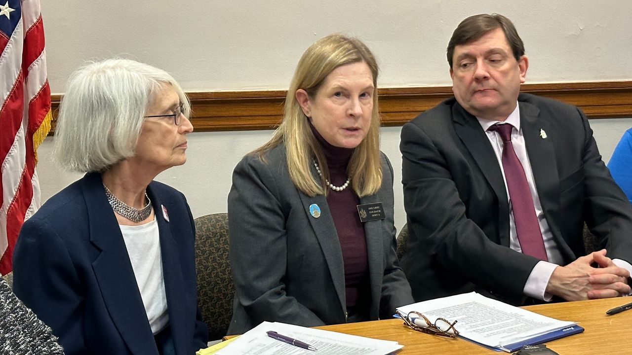 Sen. Peggy Rotundo (D-Lewiston), Sen. Anne Carney (D-Cape Elizabeth) and Senate President Troy Jackson (D-Allagash) talk about a new round of gun bills in the wake of the Lewiston shootings in October. (Spectrum News/Susan Cover)