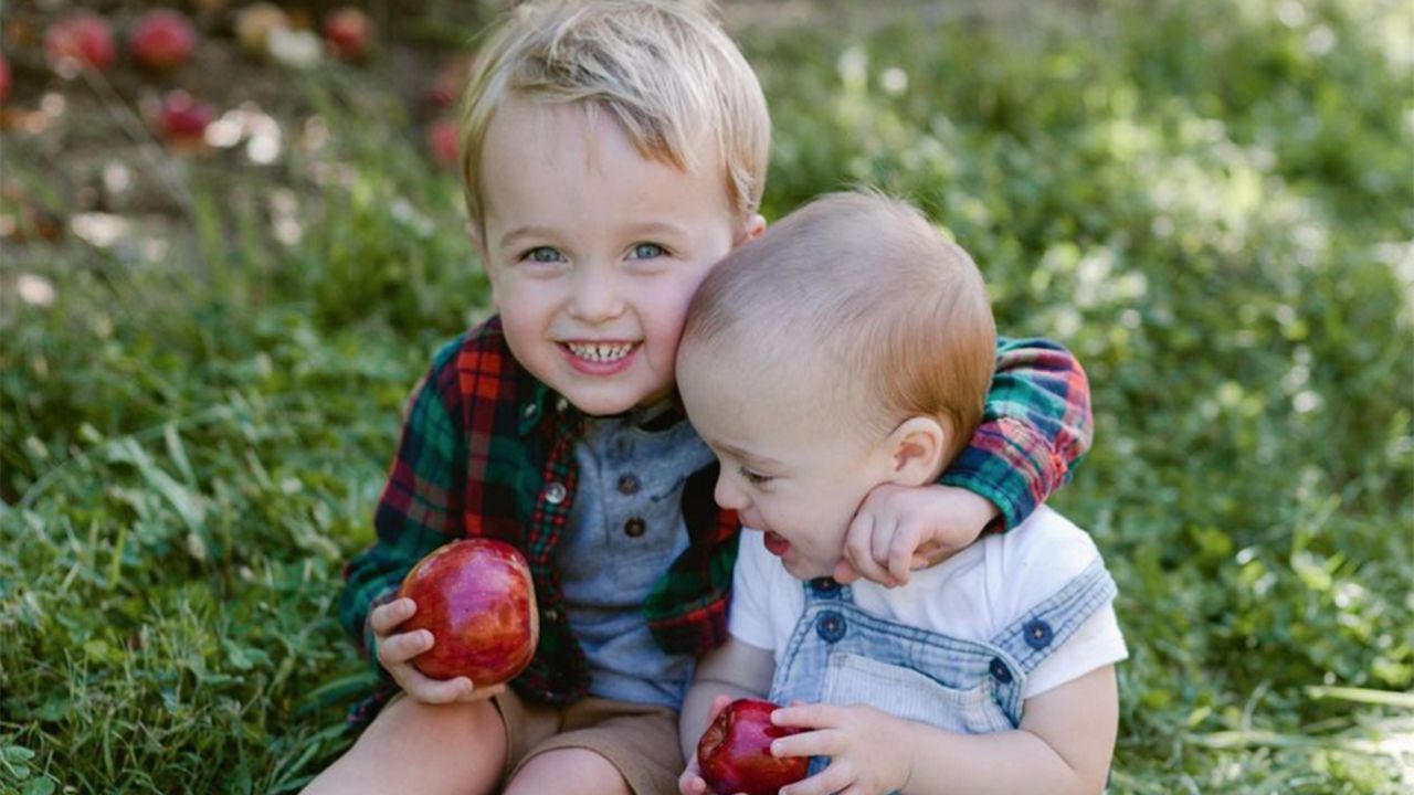 Every Tuesday through Sunday from 9 a.m. to 5 p.m., customers can gather as many apples as they can carry at  Eckert’s Belleville and Grafton farms. (Photo courtesy of Eckert's)