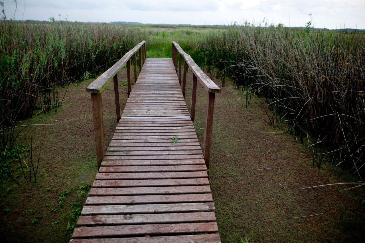 Argentina's newest national park protects vital wetlands