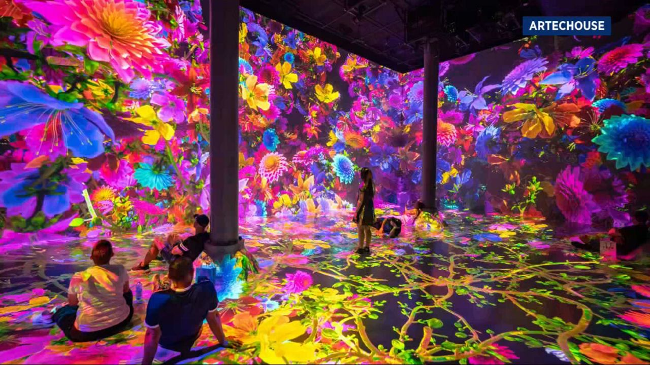 ARTECHOUSE NYC
