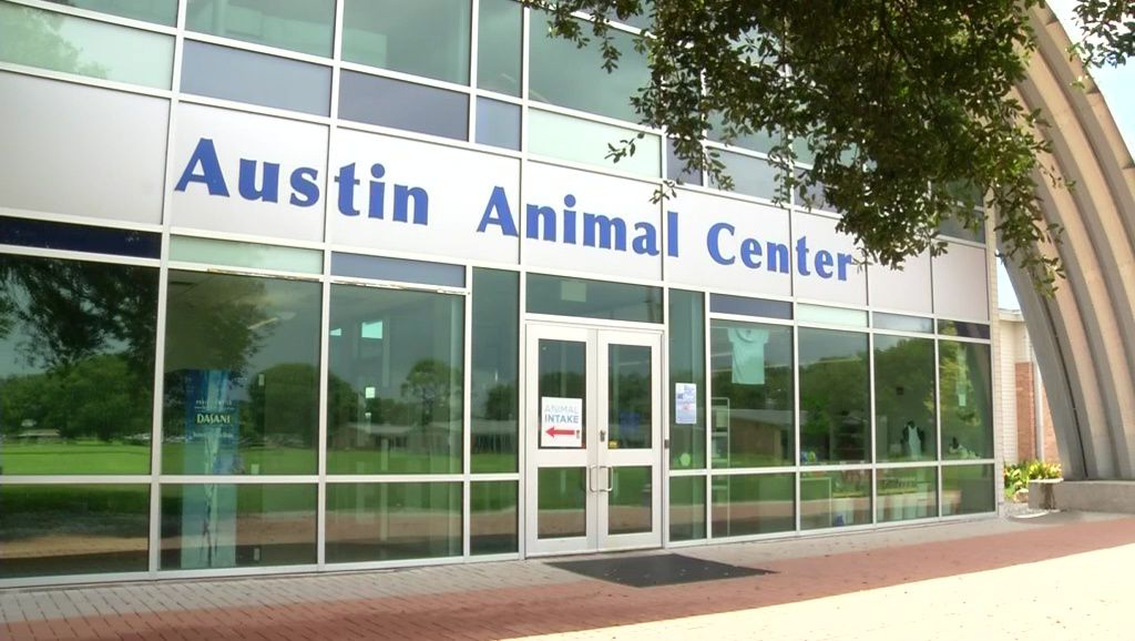 Departing Austin Animal Services Director Reflects on NoKill Progress