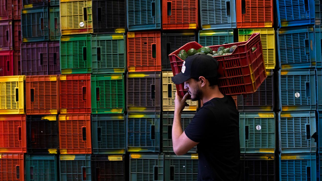 A worker carries a crate of avocados at a plant in Mexico on Friday, Feb. 9, 2024.