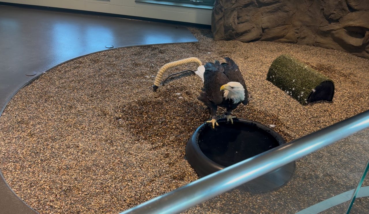 National Eagle Center on Mississippi River marks America 250