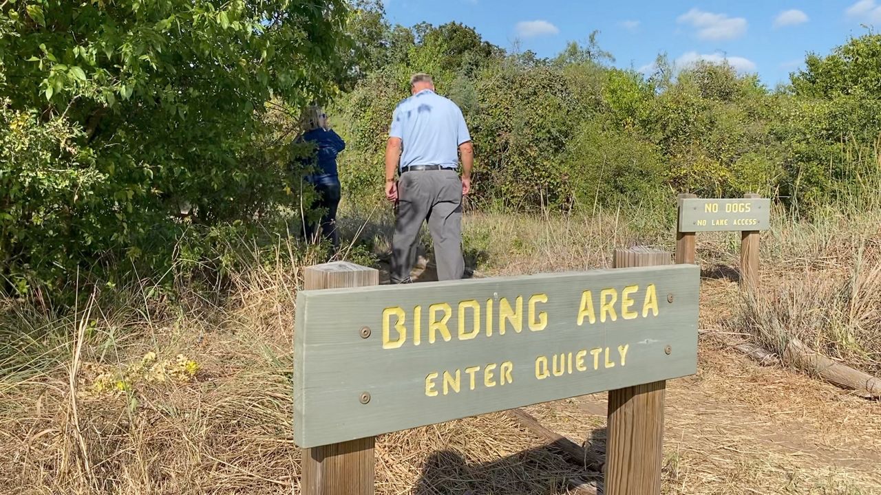 Central Texas plays key role as birds migrate South