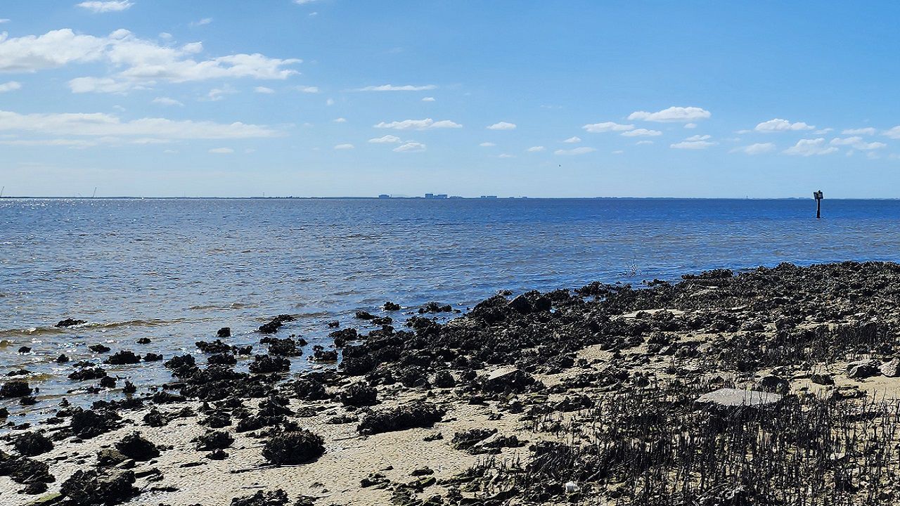 On Tuesday, authorities announced the discovery of a body found off the Courtney Campbell Causeway. A different body was discovered near the same area on Sunday. (Spectrum News)