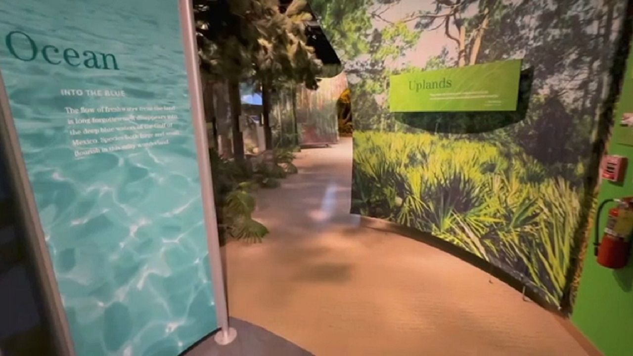 Florida On A Tankful visits the Dalton Discovery Center at the Conservancy of Southwest Florida in Naples, where they face the good, the bad and the beautiful. (Spectrum News image)