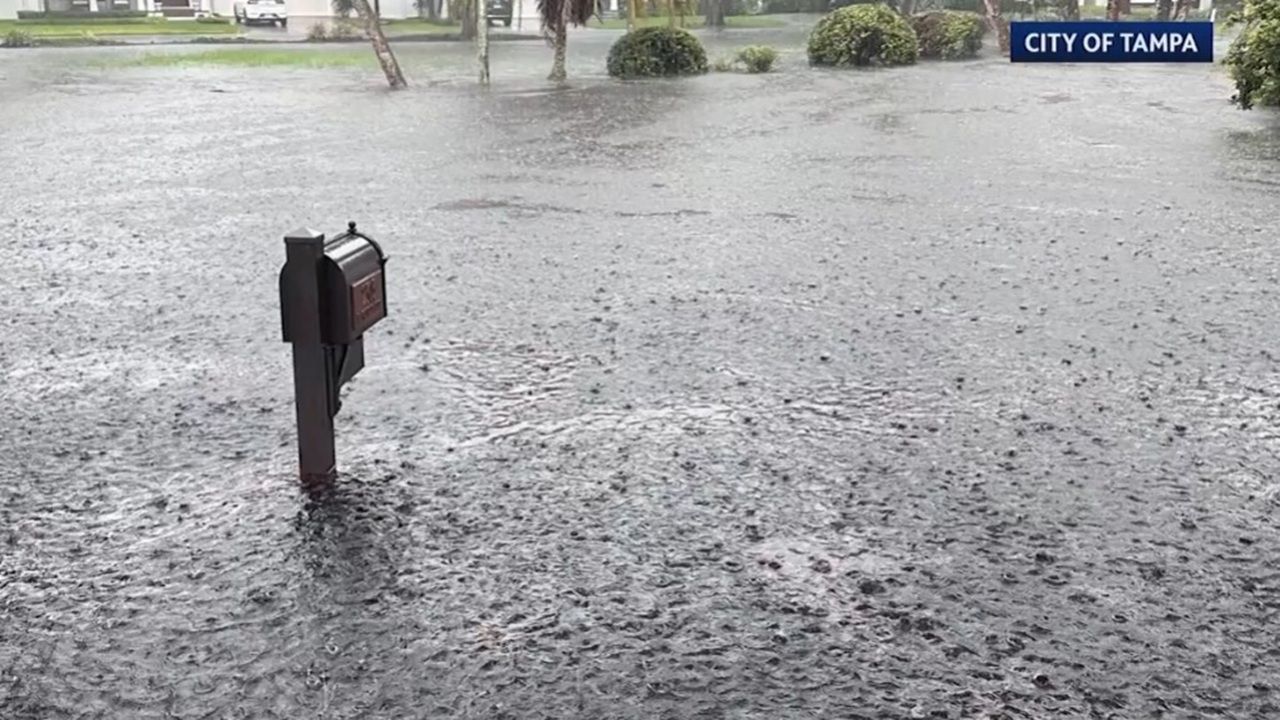 Tampa releases simulation for South Howard flood relief project