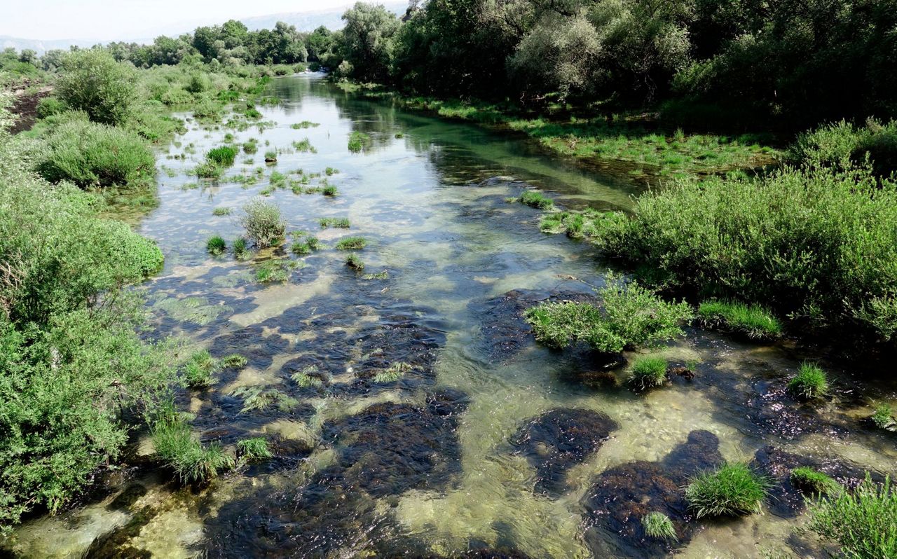 Balkan activists keep fighting for Europe’s last wild rivers