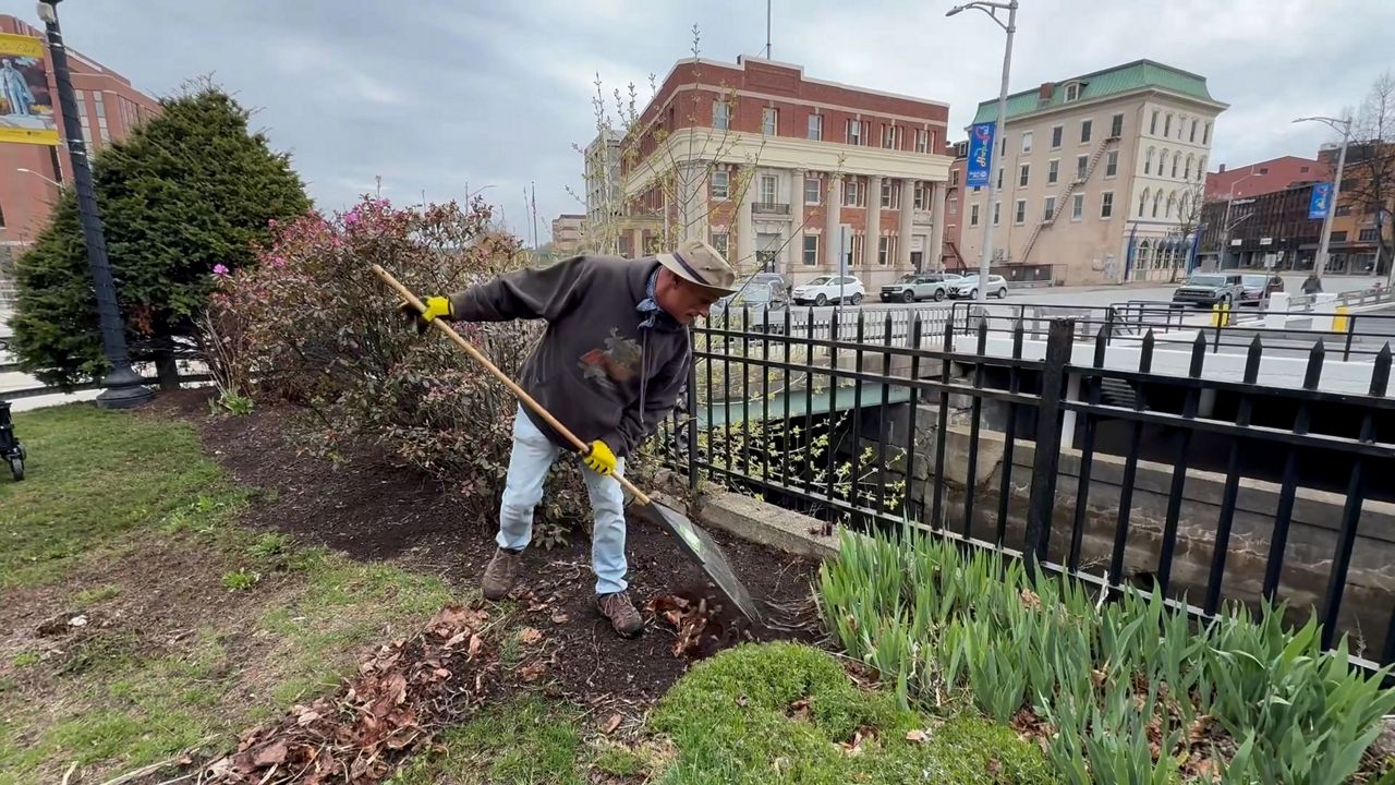 Volunteer Kris Daignault rakes debris in the Norumbega Parkway in Bangor on Saturday as part of an annual cleanup. (Spectrum News/David Ledford)
