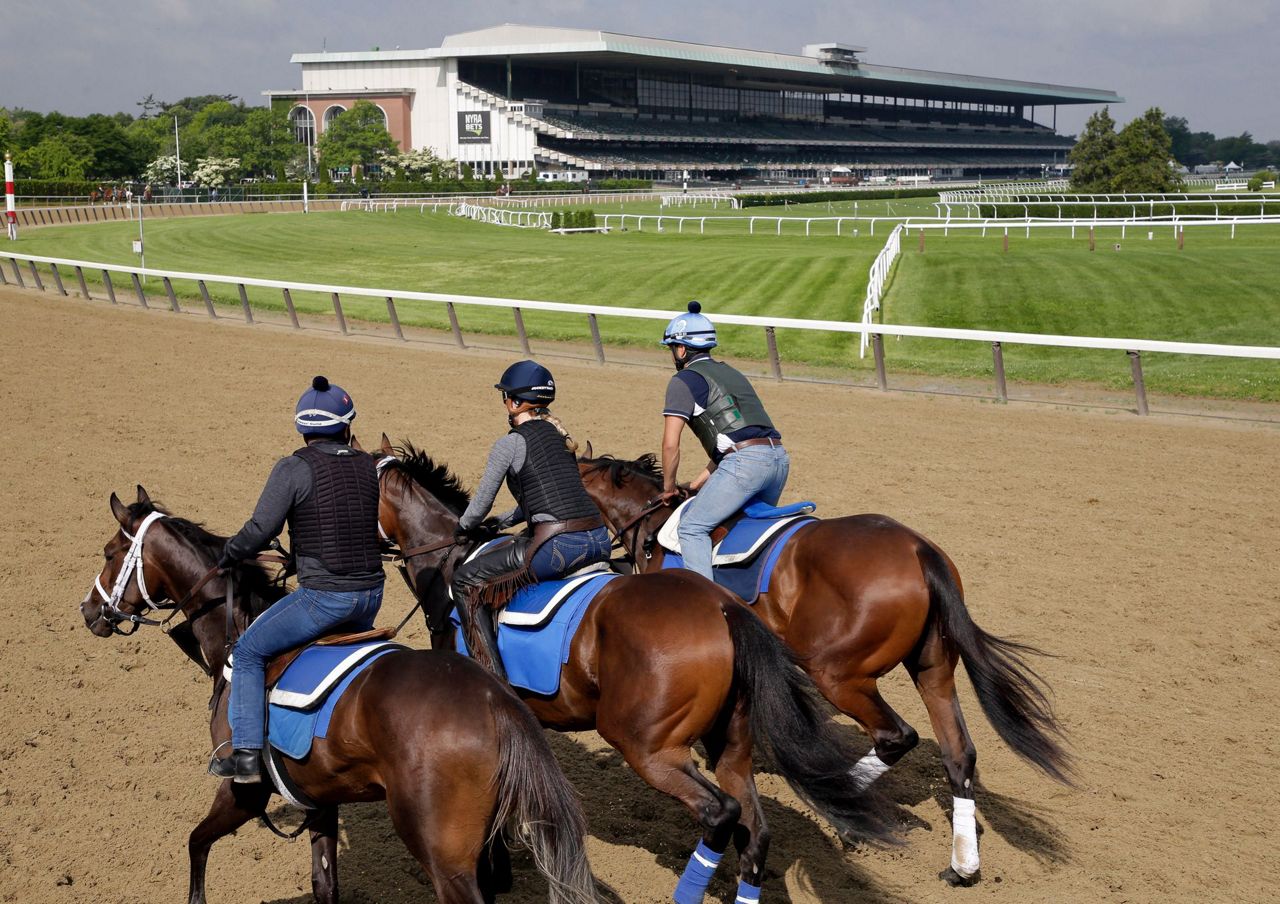 6yearold horse dies at Belmont Park after race injury