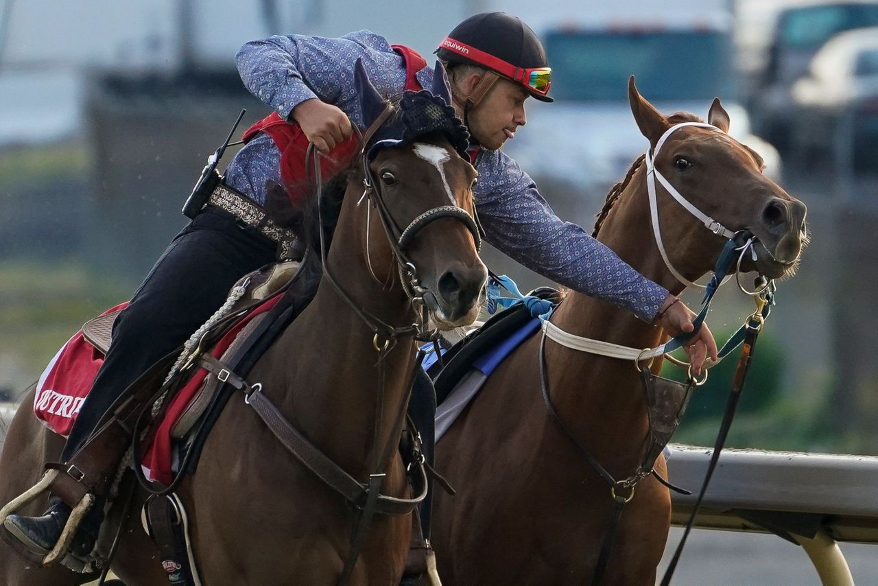 Belmont Park will resume live racing after air quality improves ahead