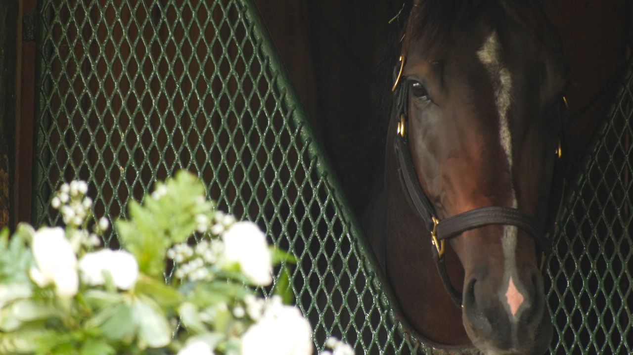 Bill Mott, Sovereignty’s trainer, is pointing the horse toward the Travers Stakes, with a good possibility of running him in the Jim Dandy as well.