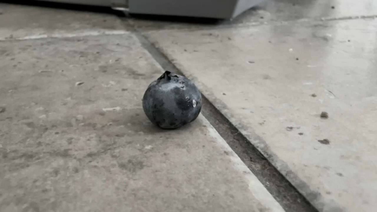 Berry on floor