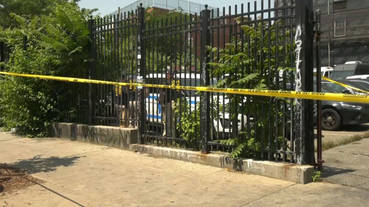 Arsonist NYPD fire