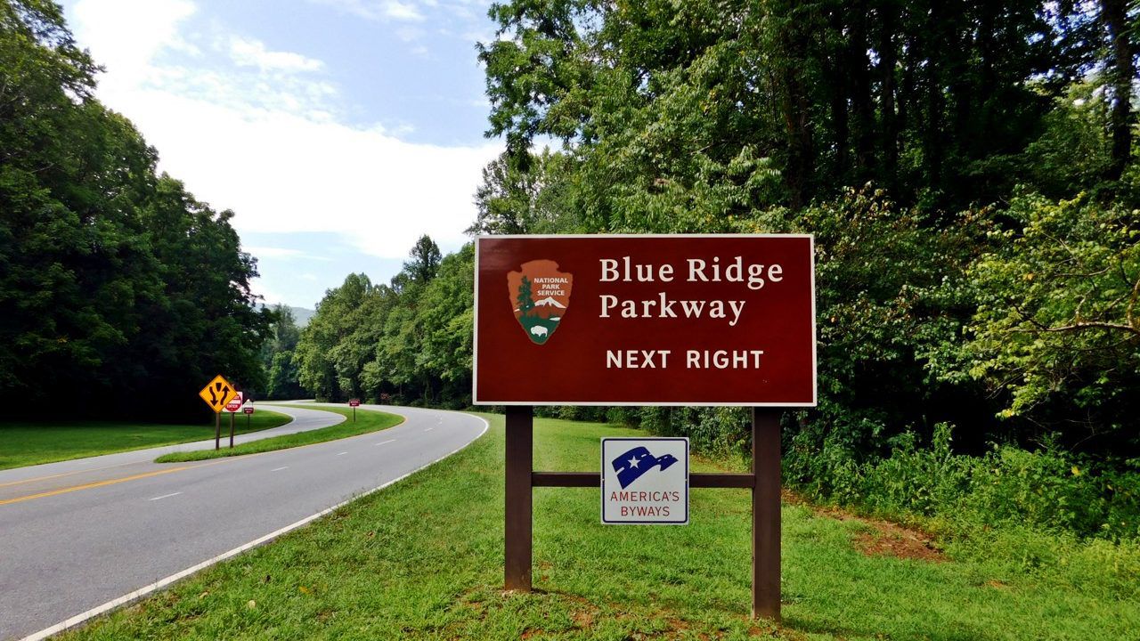 The National Parks Service closed a popular section of the Blue Ridge Parkway near Asheville, North Carolina, after visitors started feeding young bears.