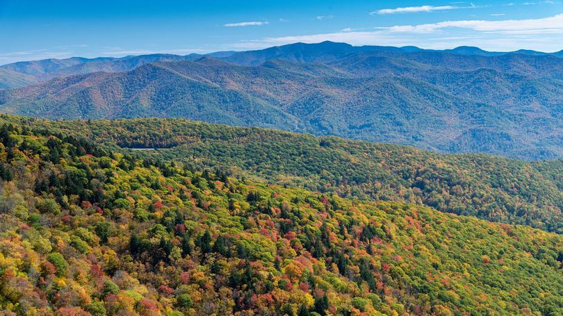 Officials encourage visitors to the Blue Ridge Parkway to be cautious on reopened trails and roads. (Courtesy of Blue Ridge Parkway)