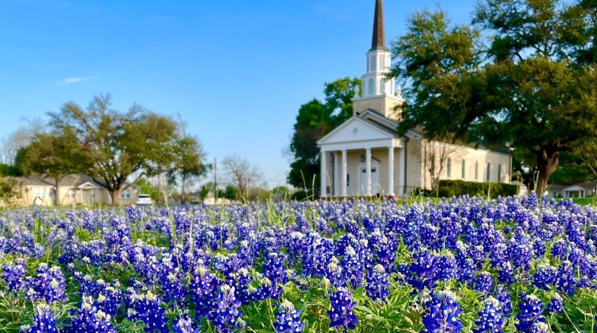 A sunny Round Rock, Texas. (Spectrum News 1/Todd Boatwright)