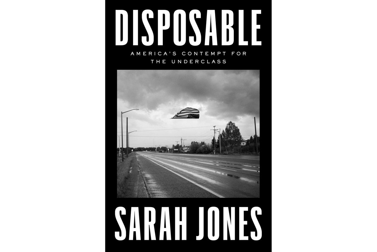 Book Review: 'Disposable' a journey through the inequities exposed by ...