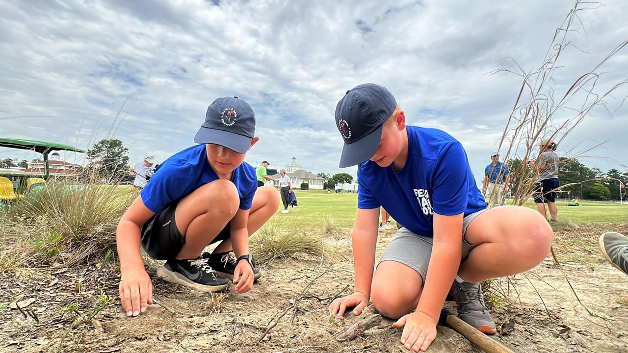 Repositioning native plant species is part of the fun of learning golf course design for children who attended a camp at Pinehurst No. 2.