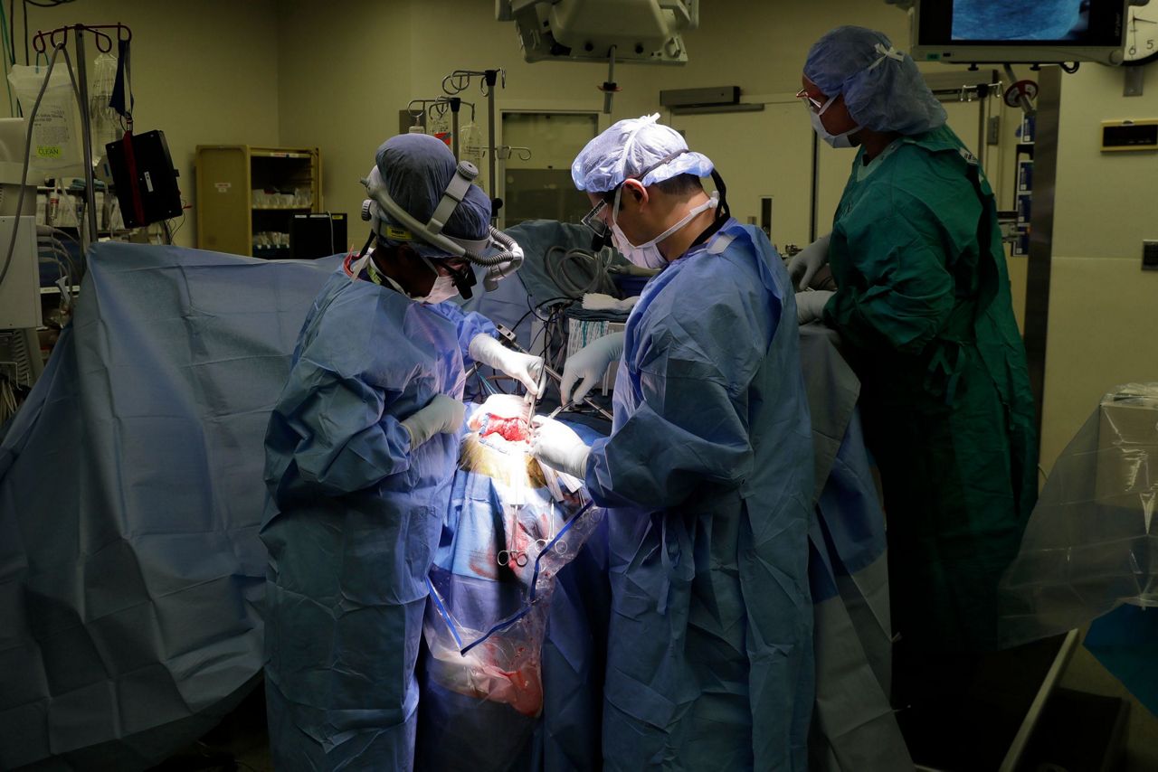 Epilepsy treatment side effect: New insights about the brain