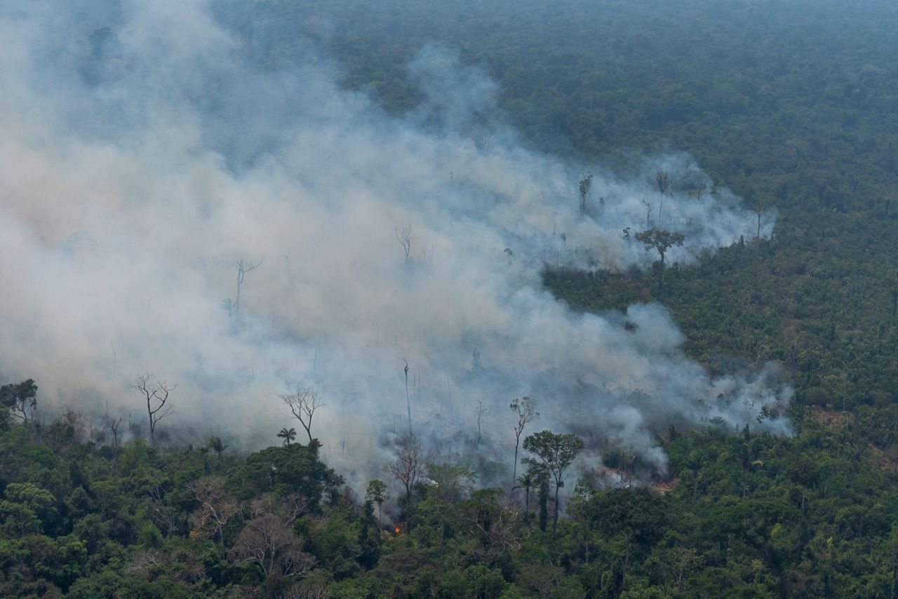 AP Explains: The causes and risks of the Amazon fires