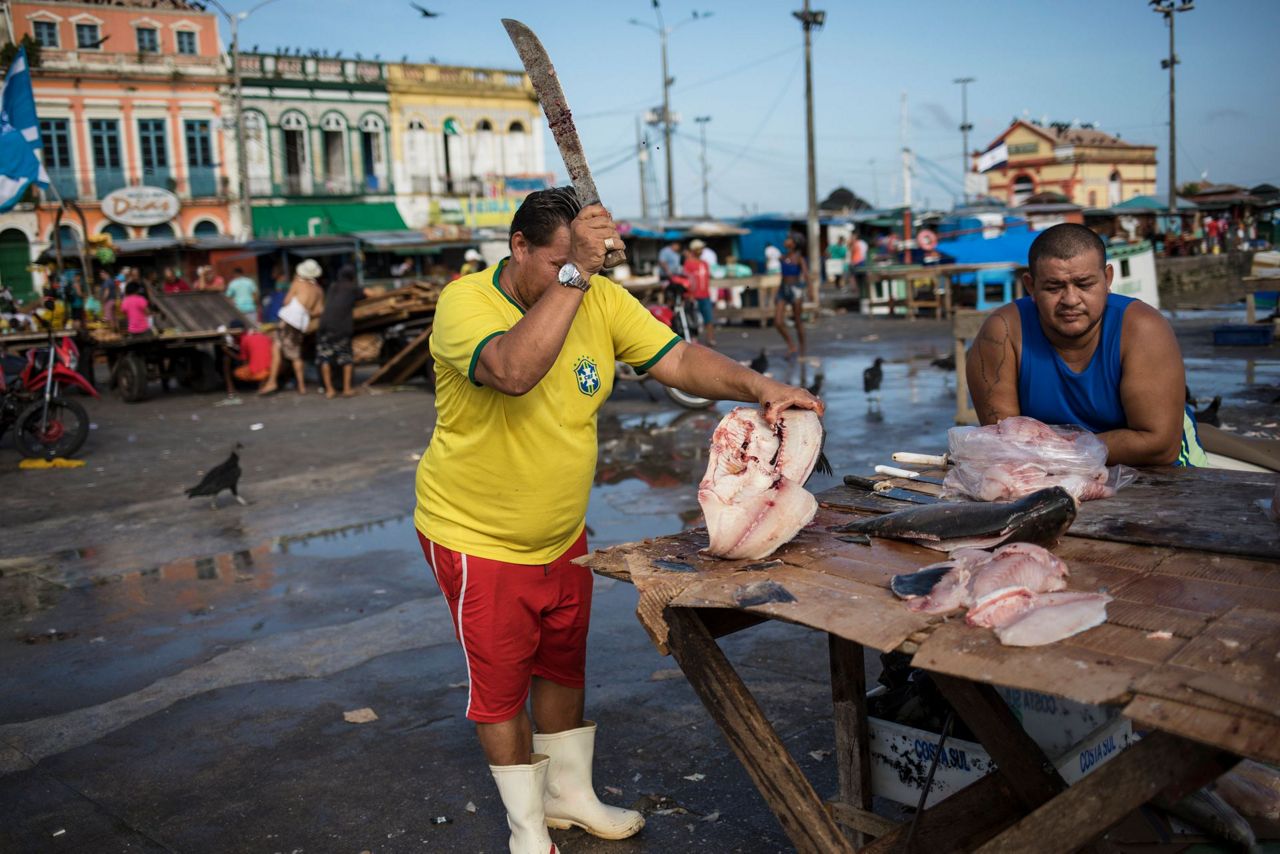 Samba, Amazon fruits and fish at Brazil's Ver-O-Peso market