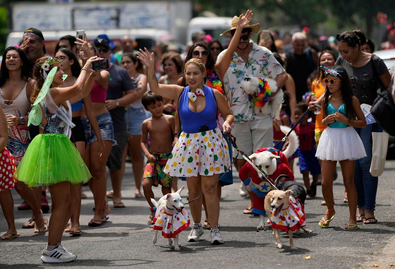 Dogs in costumes take over at Rio Carnival street party