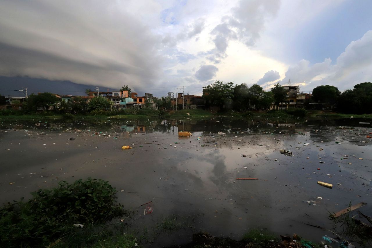 Rainforest nations in Africa and Asia join Amazon summit to discuss ...