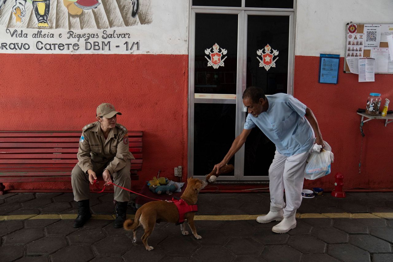 In Rio, rescue dogs watch out for their rescuers