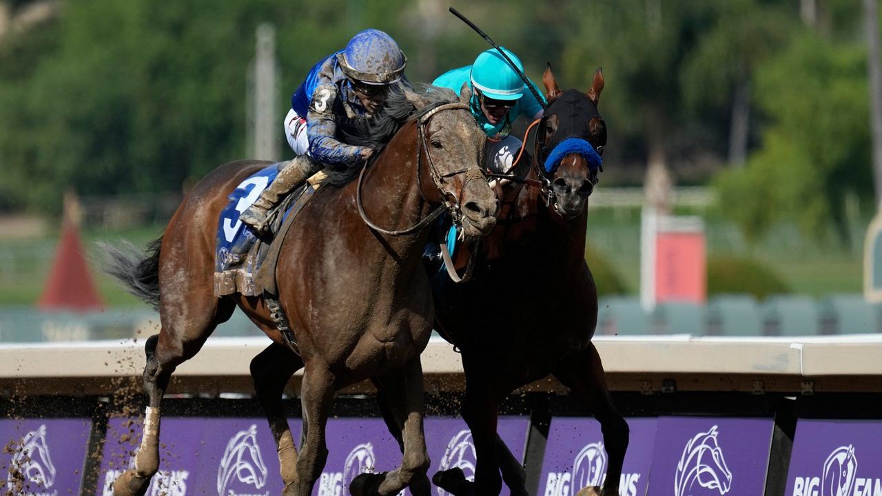 Junior Alvarado rides Cody's Wish, left, as he leads Flavien Prat riding National Treasure to win the Breeders' Cup Dirt Mile horse race Saturday, Nov. 4, 2023, at Santa Anita Park in Arcadia, Calif. (AP Photo/Ashley Landis)