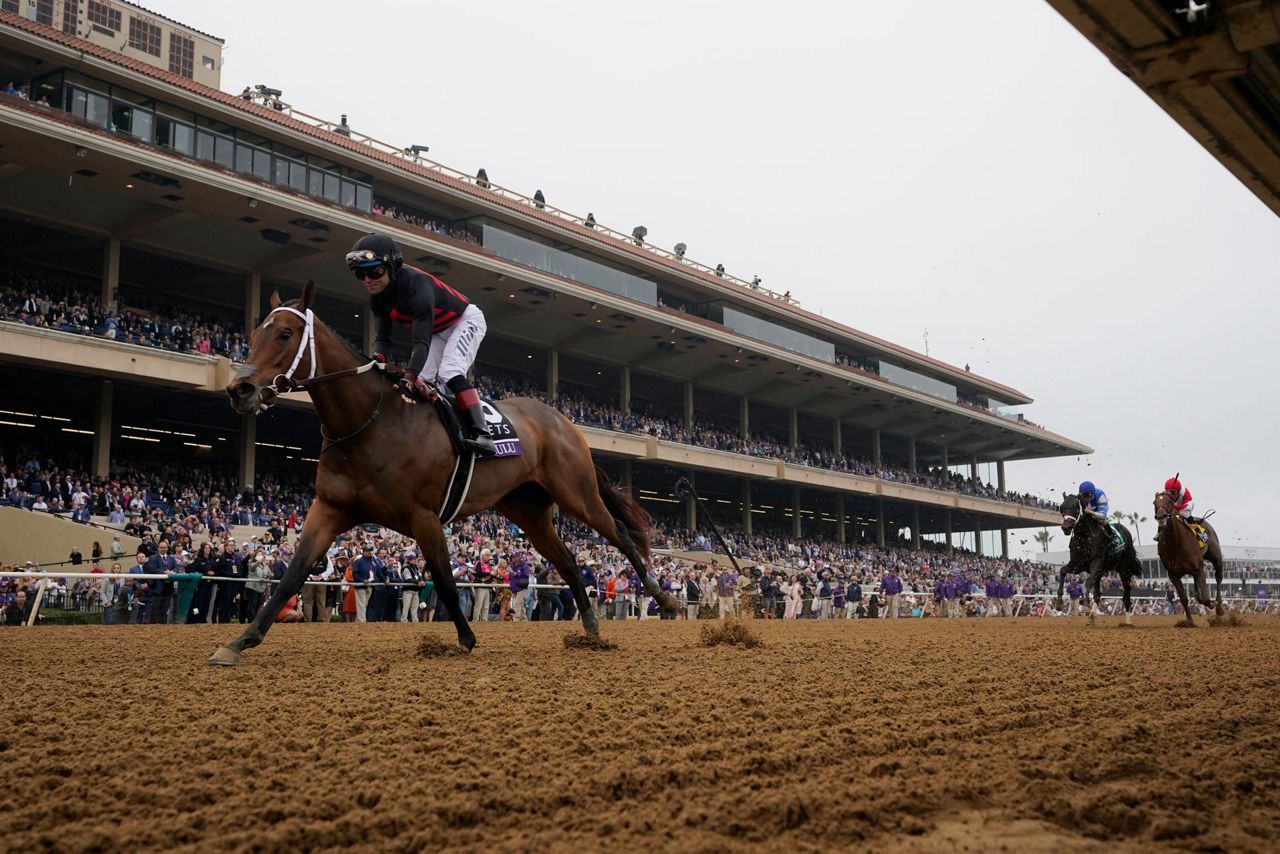 Corniche wins Breeders' Cup Juvenile for embattled Baffert