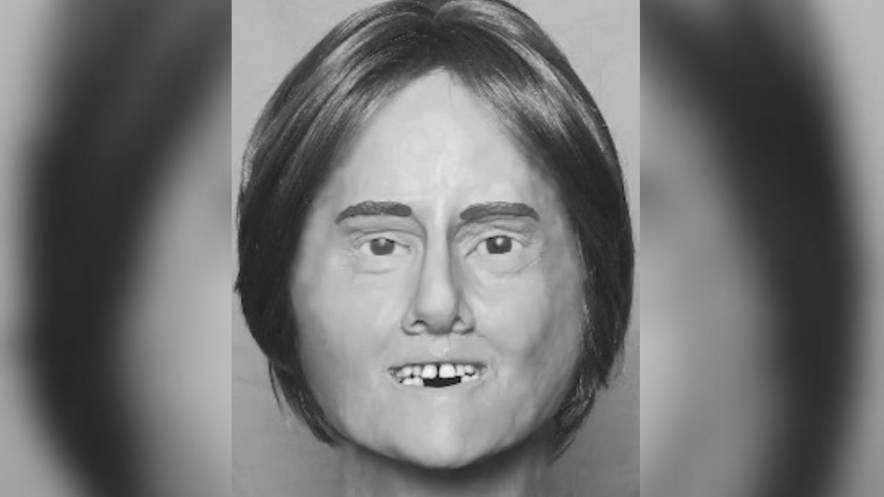 A composite sketch drawn to the likes of Brenda Sue Guessler, who remained unidentified for 22 years. (DNASolve.com)
