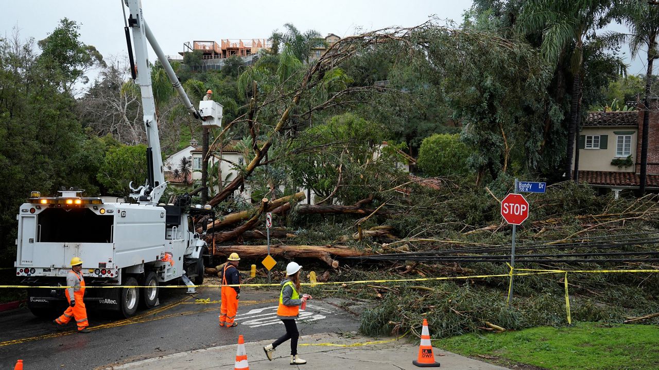 City workers help to remove a eucalyptus tree that fell onto a house and over power lines along Bundy Drive in the Brentwood section of Los Angeles on Tuesday, Feb. 6, 2024. (AP Photo/Damian Dovarganes)