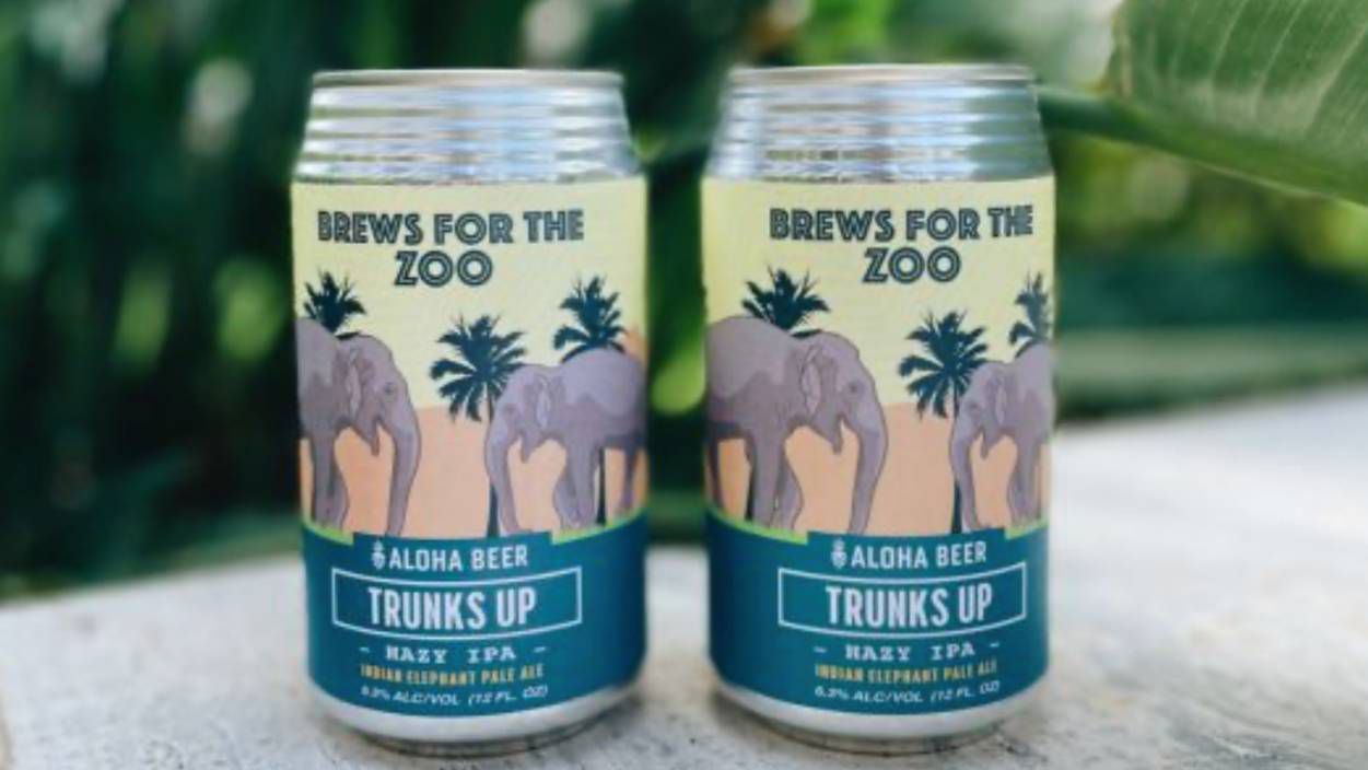 One dollar from each sale over a pint at "Brews for the Zoo" on Aug. 31 will benefit Honolulu Zoo Society and the Asian Elephant SAFE conservation initiative through the Aloha Aina Conservation Fund. (Photo courtesy of Aloha Beer Co.)