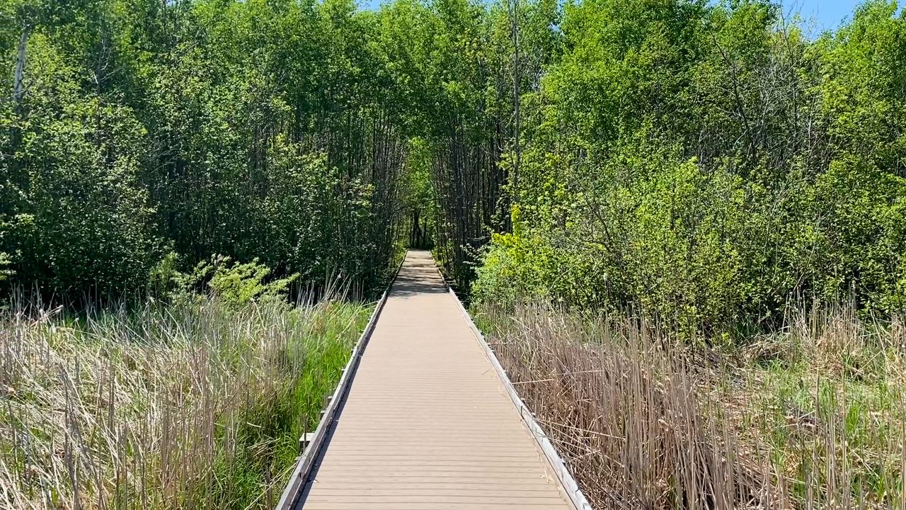 Brillion Nature Center recognized by DNR with award