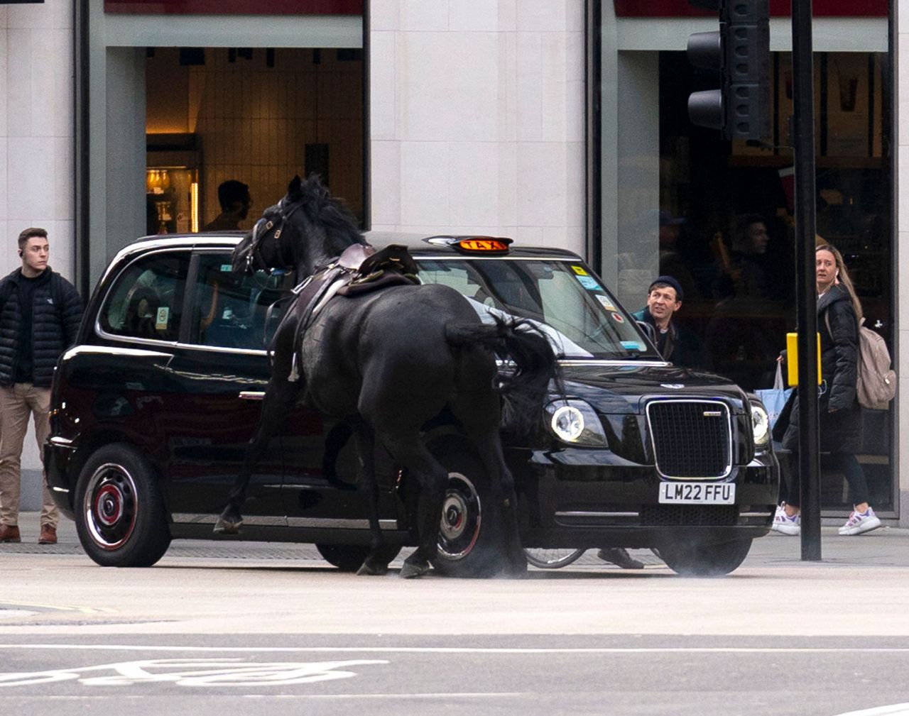 2 Military Horses That Broke Free And Ran Loose Across London Are In ...