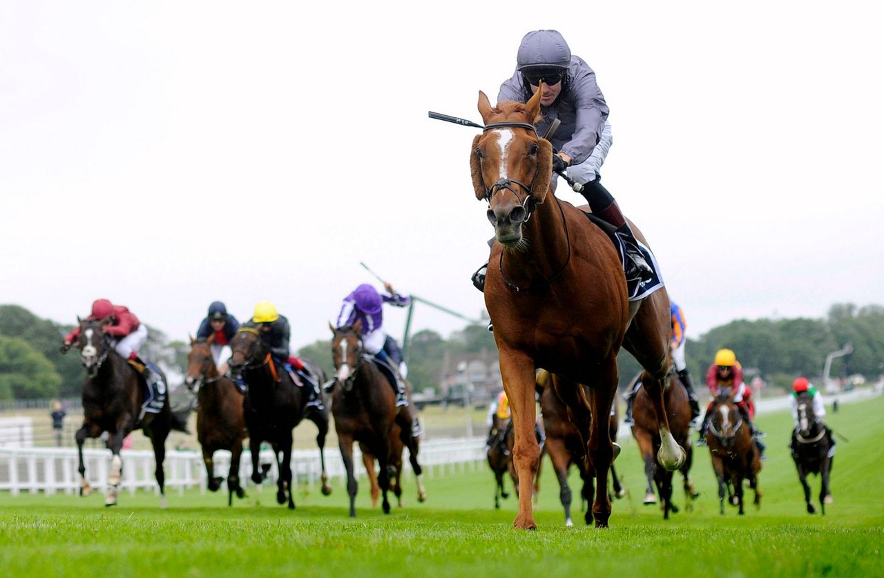 Serpentine wins English Derby in bizarre fashion