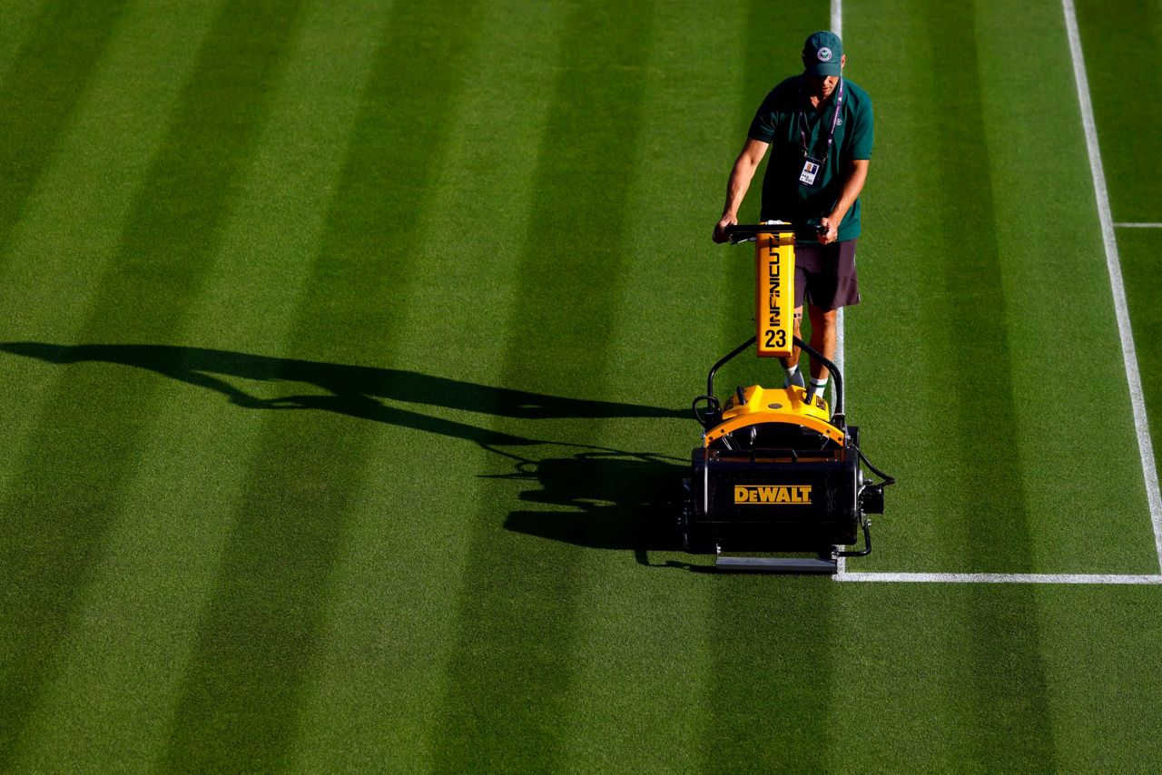 You can watch Wimbledon on TV outdoors in Brooklyn. It's part of a bid