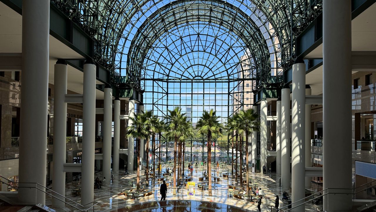 Palm trees on display at Brookfield Place