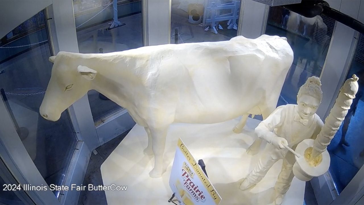 Butter cow unveiled ahead of Illinois State Fair