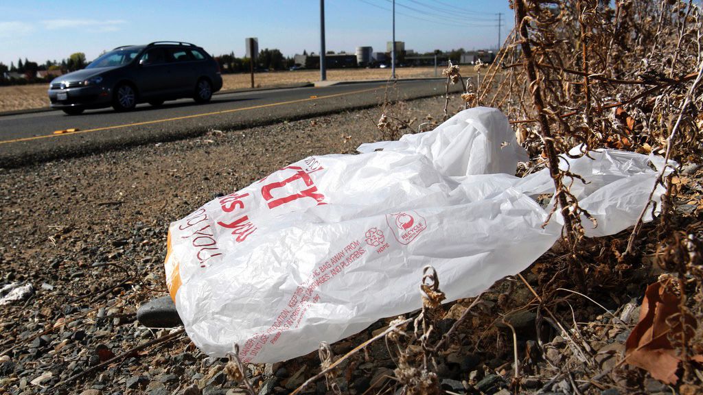 CA governor signs law banning all plastic shopping bags at grocery stores