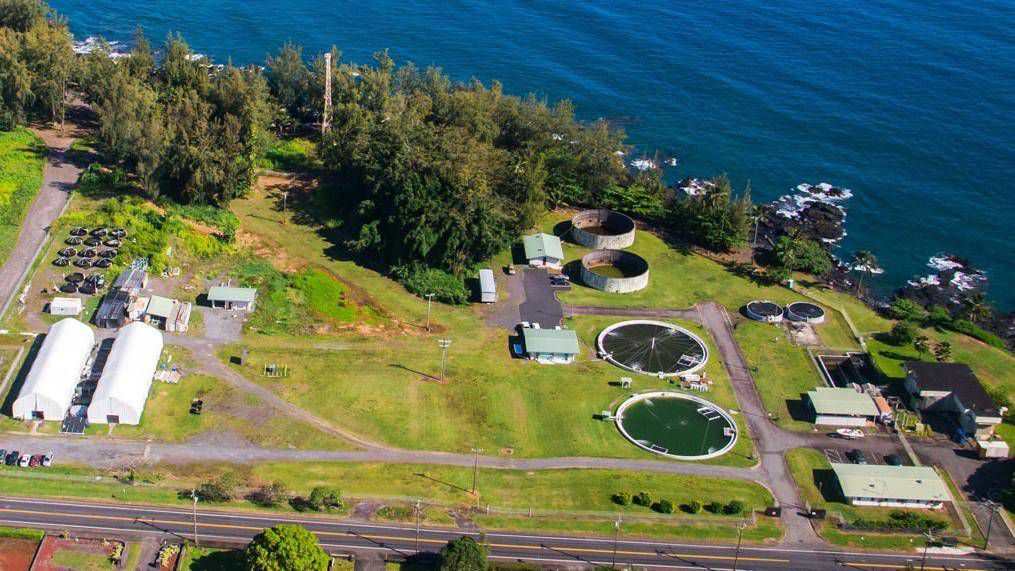 UH selected to participate in national seafood initiative