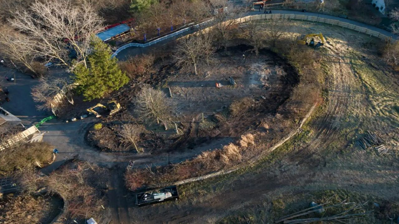 Le projet du zoo de Columbus réutilise les arbres pour des habitats