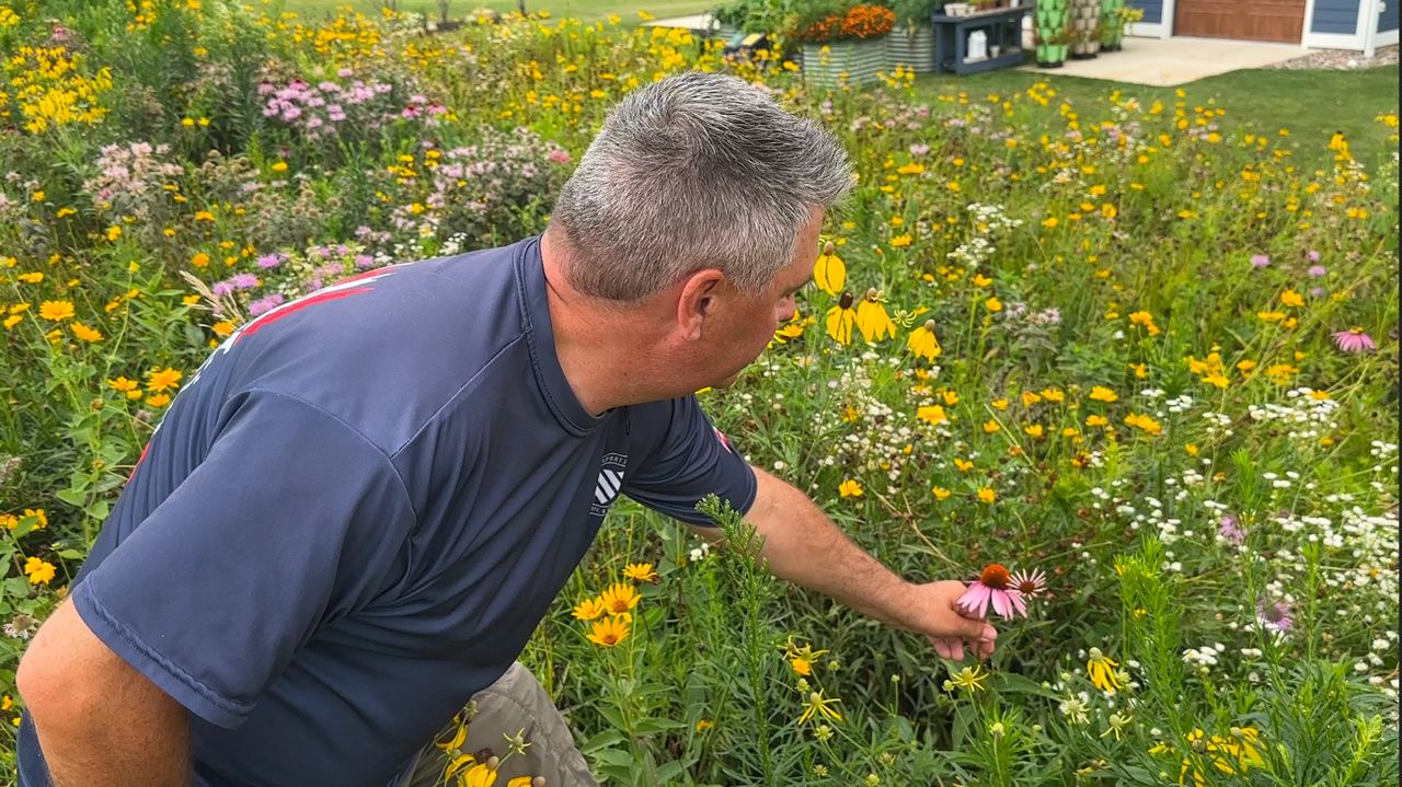 GLC helping making yards more environmentally friendly