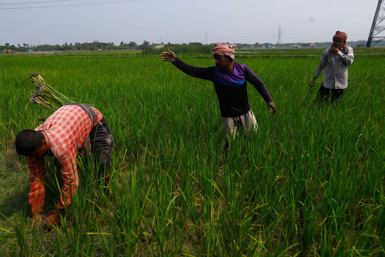 Bangladesh balances energy needs with climate, conservation