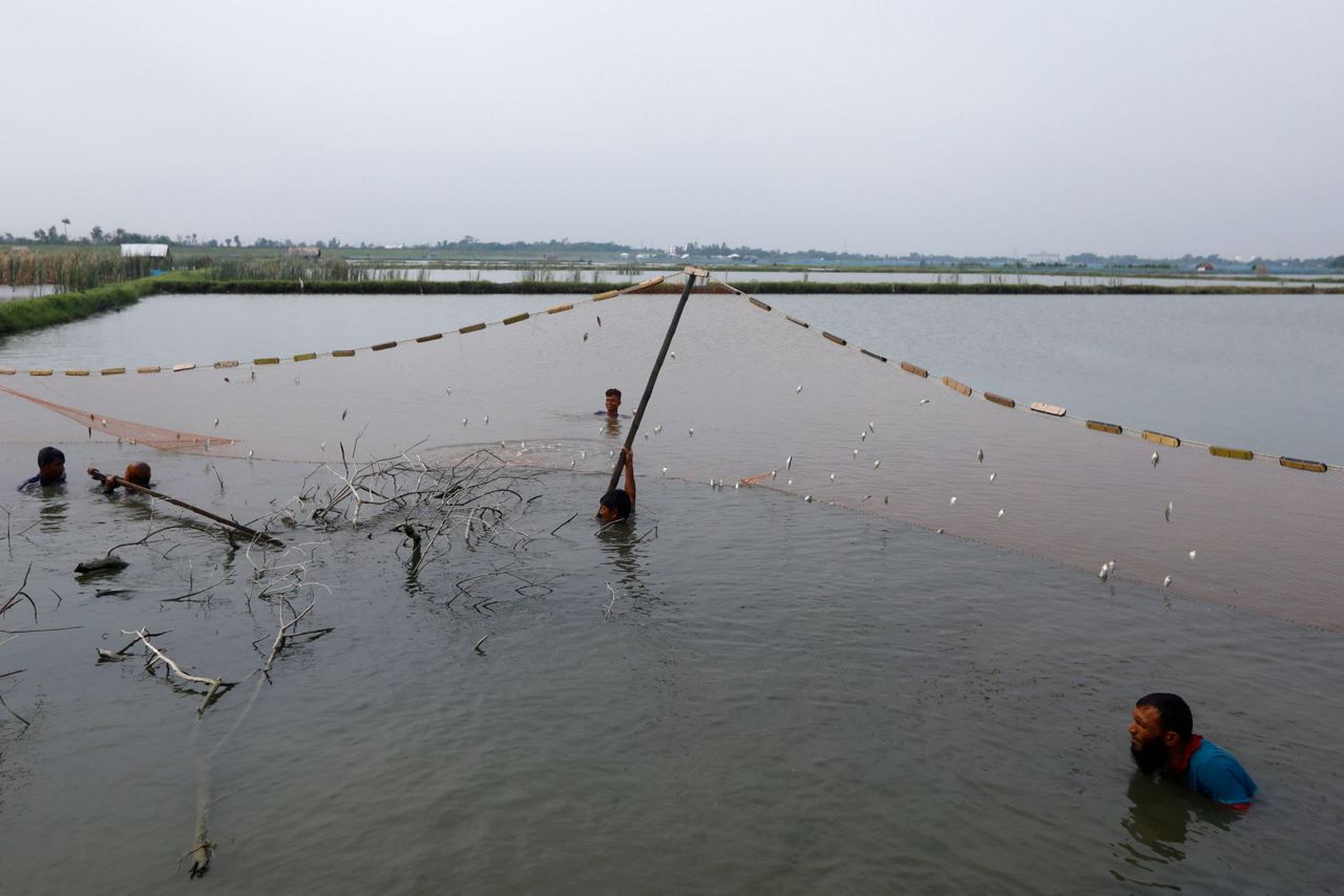 Bangladesh balances energy needs with climate, conservation