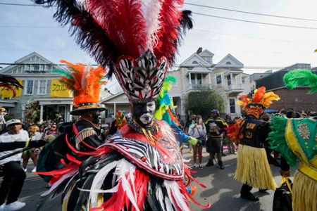 Mardi Gras King Jersey Mardi Gras Carnival Parade Jersey Fat