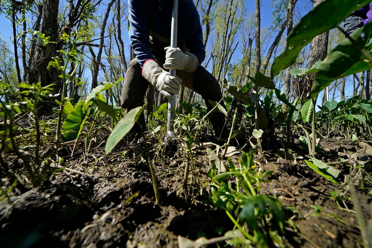 NASA looks at Louisiana delta system, eyes global forecasts