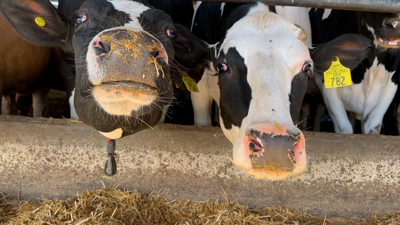 Lawmakers, farmers raise concerns about aging farm work force