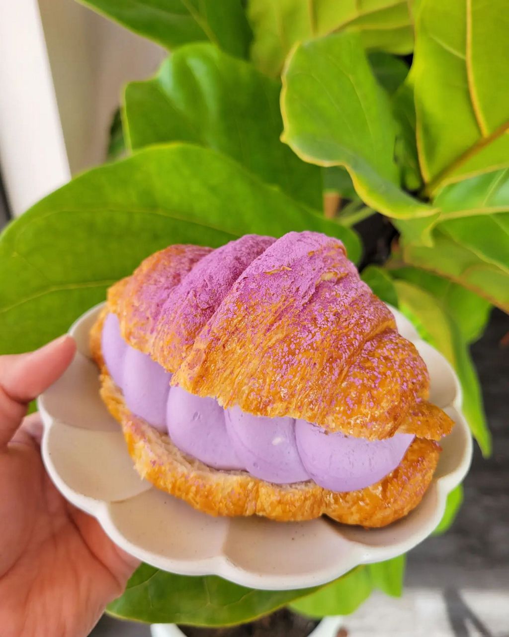 El croissant ube halaya es uno de los artículos más populares en Mochiko Cafe.  El restaurante ha ganado reconocimiento nacional desde que abrió hace dos años.  (Foto cortesía de Café Mochiko)